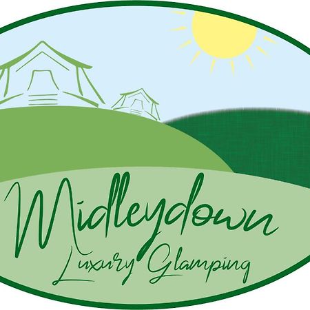 Hotel Midleydown Luxury Glamping à Exeter Extérieur photo