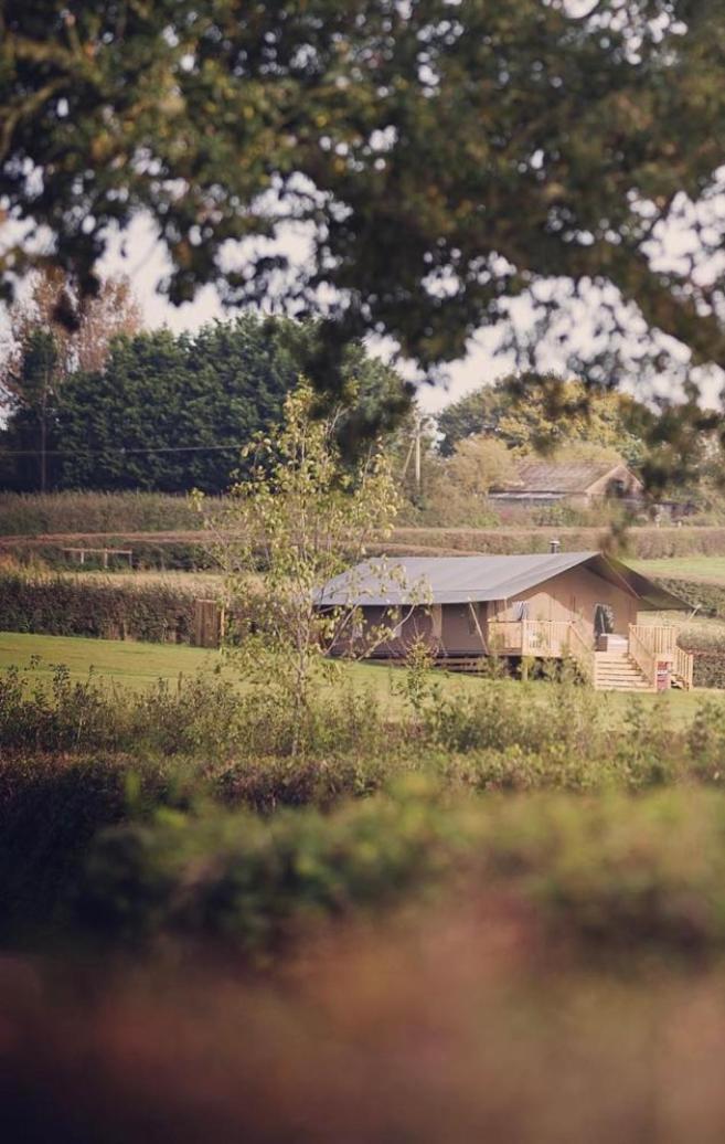 Hotel Midleydown Luxury Glamping à Exeter Extérieur photo